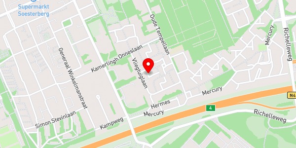 Kaartweergave met markering van de plaats van het incident.