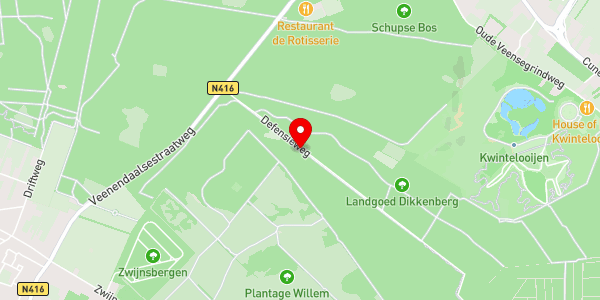 Kaartweergave met markering van de plaats van het incident.