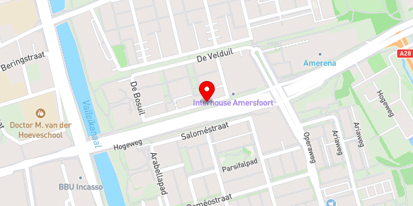 Kaartweergave met markering van de plaats van het incident.