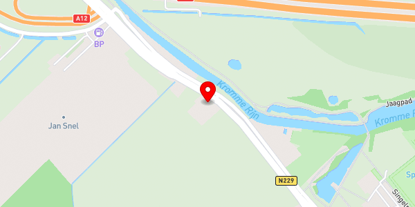 Kaartweergave met markering van de plaats van het incident.