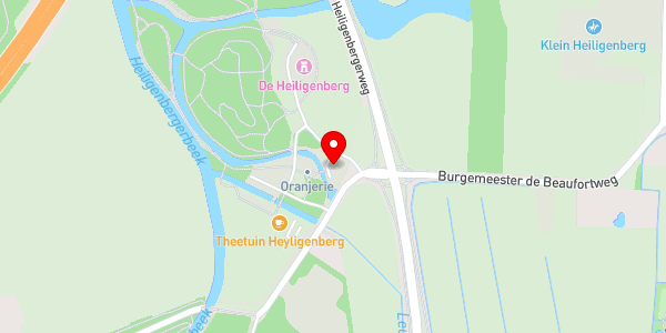 Kaartweergave met markering van de plaats van het incident.
