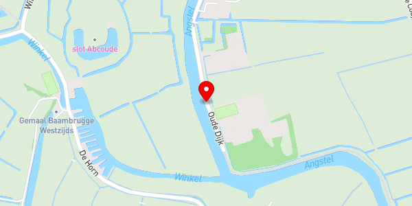 Kaartweergave met markering van de plaats van het incident.