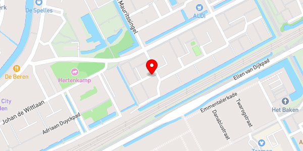 Kaartweergave met markering van de plaats van het incident.