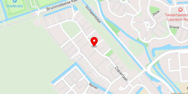 Kaartweergave met markering van de plaats van het incident.