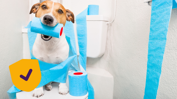 Hond op wc met toiletrol in mond