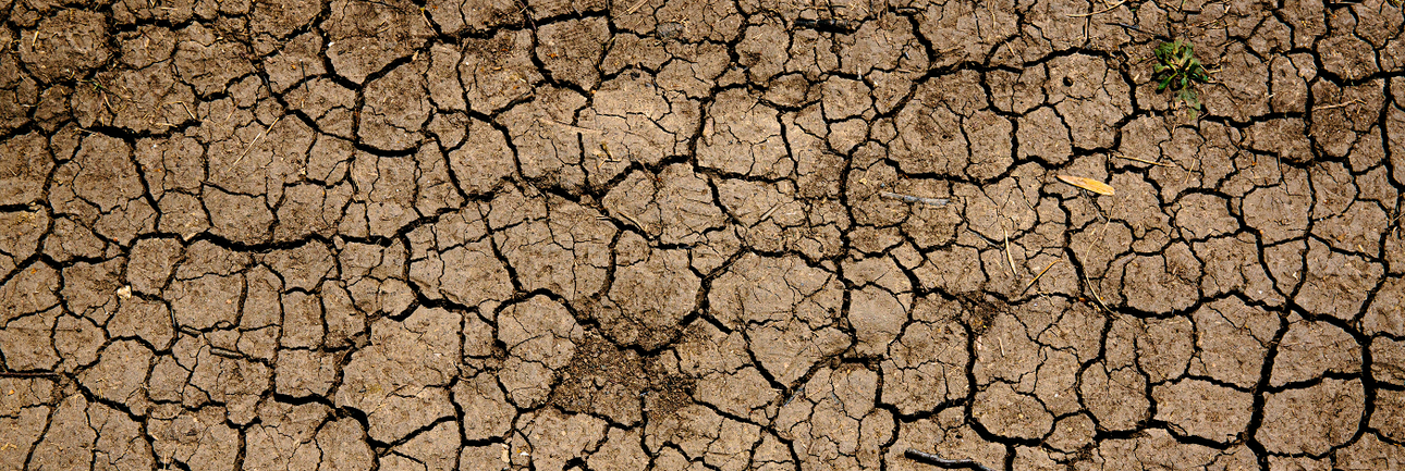 Droge korstige grond