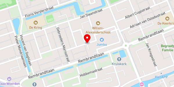 Kaartweergave met markering van de plaats van het incident.