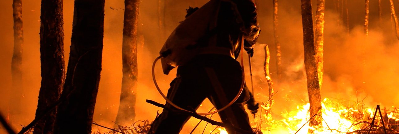 Foto van brandweerman die bosbrand blust, decoratief