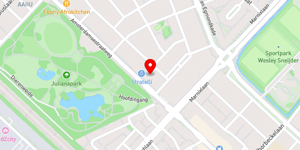 Kaartweergave met markering van de plaats van het incident.
