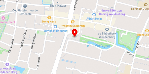 Kaartweergave met markering van de plaats van het incident.
