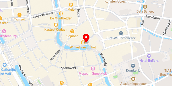 Kaartweergave met markering van de plaats van het incident.