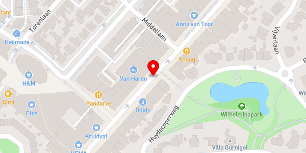 Kaartweergave met markering van de plaats van het incident.