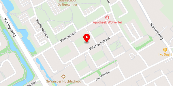 Kaartweergave met markering van de plaats van het incident.