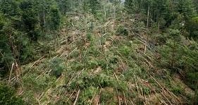 Video inzet Leersum: een terugblik van de eerste betrokkenen