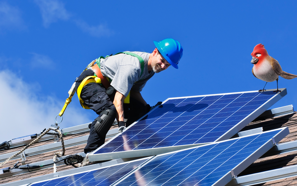 Man met helm inspecteert zonnepanelen