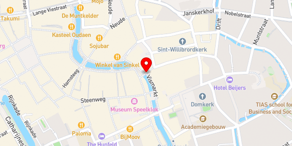 Kaartweergave met markering van de plaats van het incident.