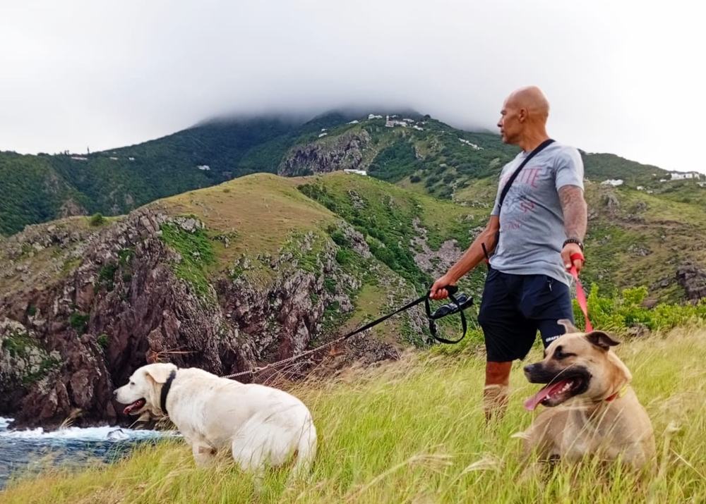 Man loopt met twee honden in tropische bergen, decoratief