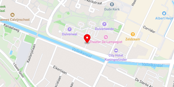 Kaartweergave met markering van de plaats van het incident.