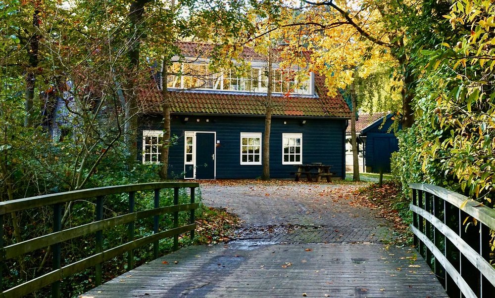 Foto van een huis in een bos, decoratief