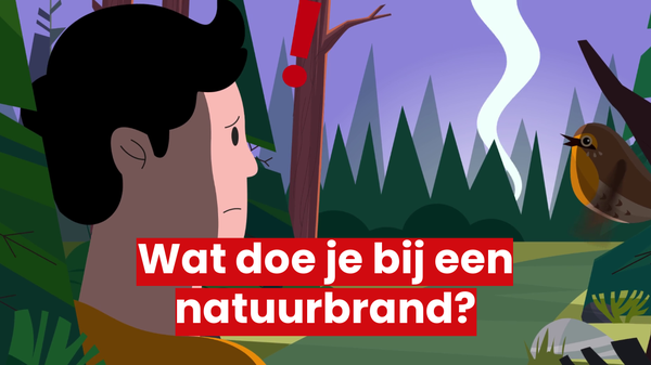 Thumbnail van natuurbrand