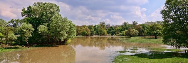 Groene bosrijke omgeving met hoog water over het gras
